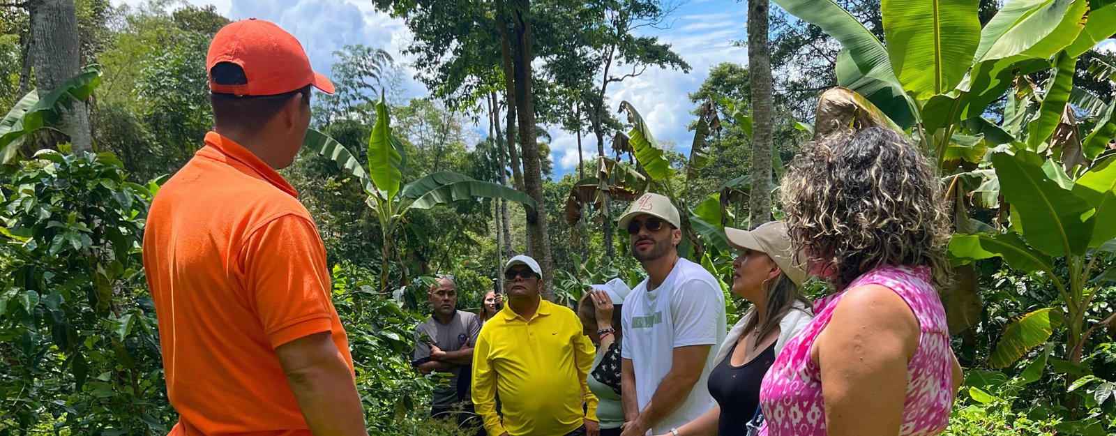 Una Experiencia Cafetera en la Montaña