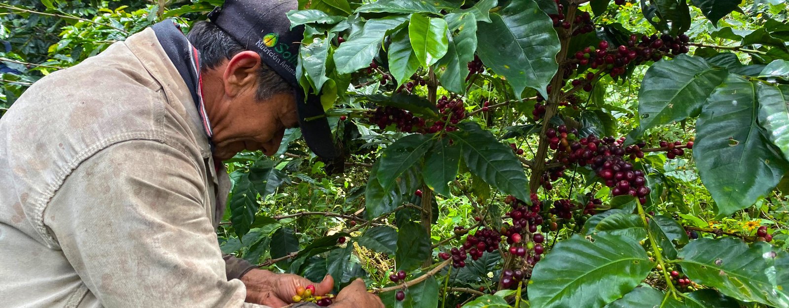 El Recorrido Kumaka: Una Inmersión Sensorial